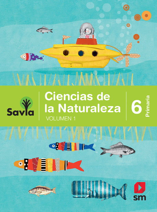 Ciencias de la Naturaleza 6. Savia primaria